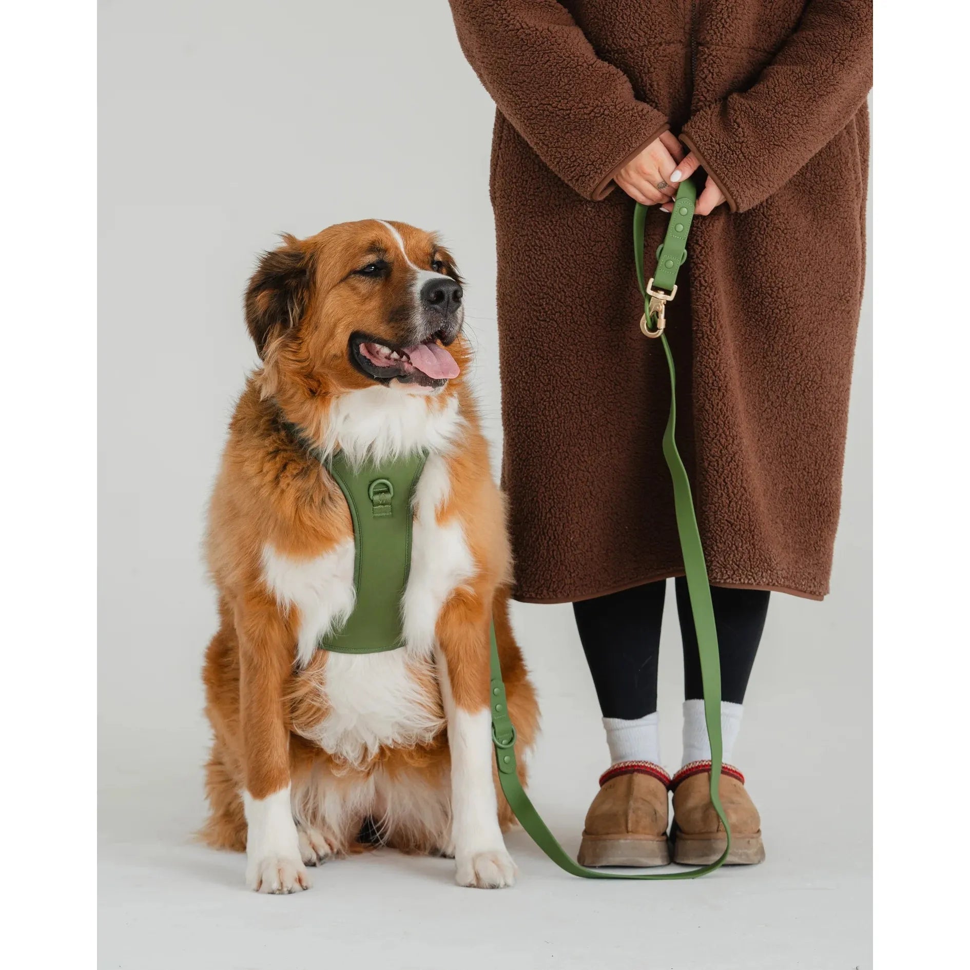 Dexypaws No-Pull Dog Harness, Green Camo