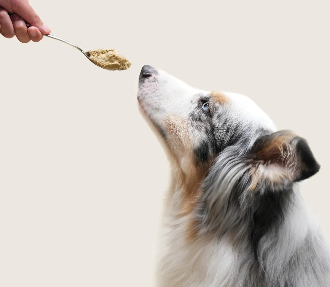 Open Farm® Freshly & Gently Cooked Frozen Dog Food