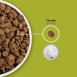 ACANA Highest Protein Grasslands Dog Dry Food