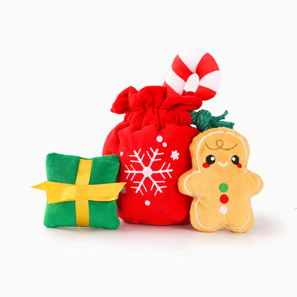 HugSmart - Happy Woofmas – Christmas Gift Bag