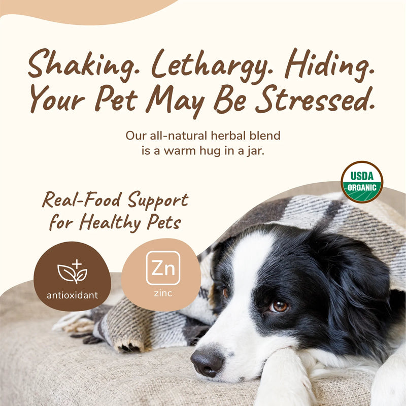 Kin&Kind - Organic Healthy Calm Supplement