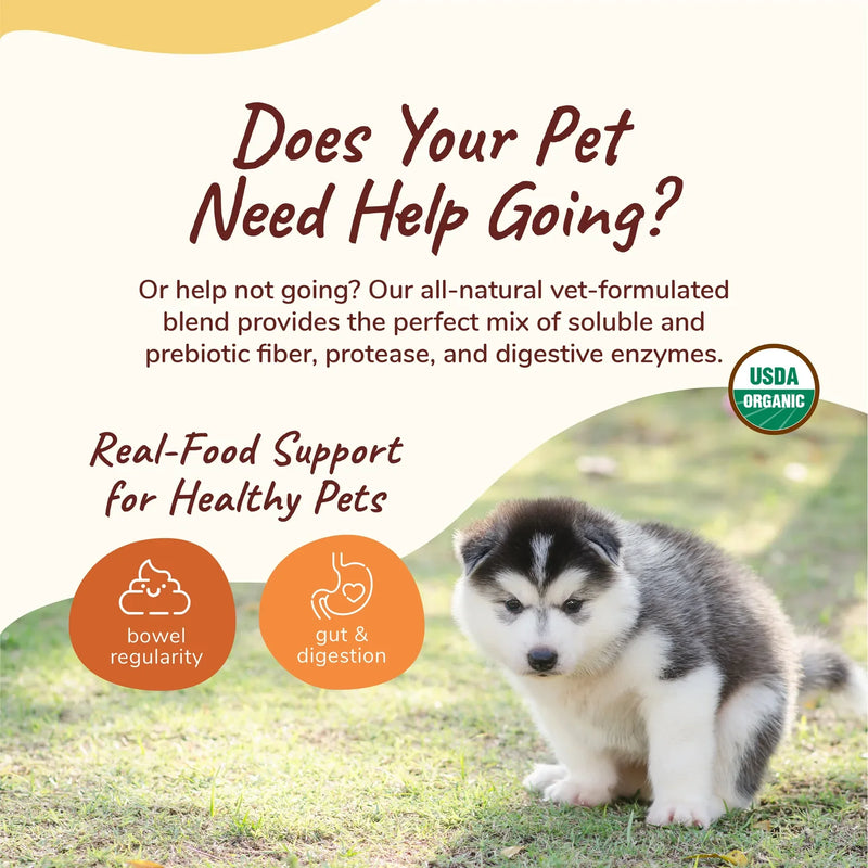 Kin&Kind - Organic Healthy Poops Supplement