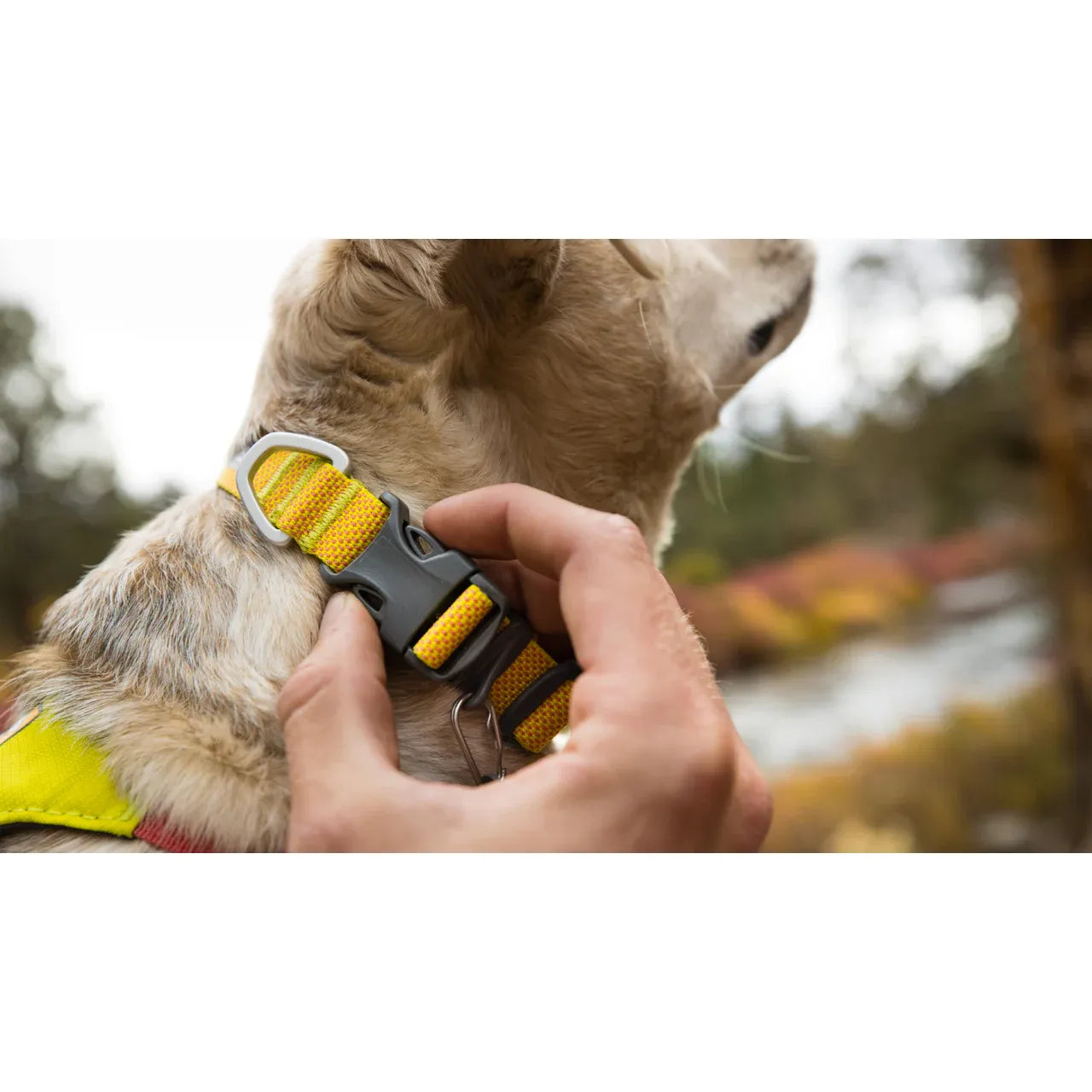 Laisse légère pour chien Ruffwear Front Range™