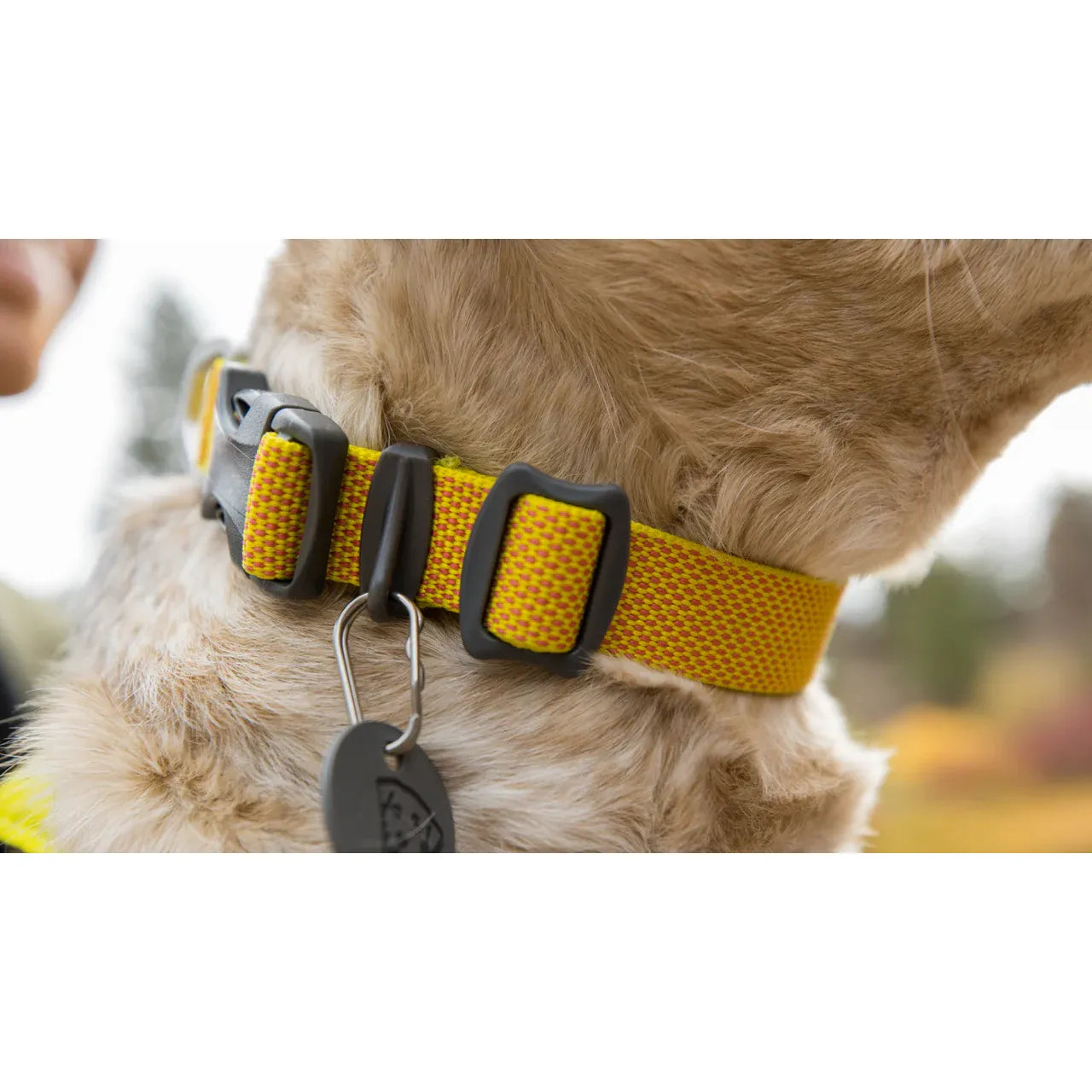 Laisse légère pour chien Ruffwear Front Range™