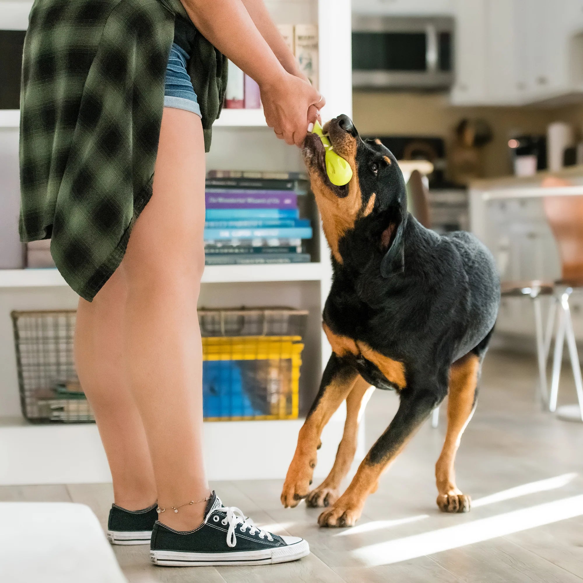 West Paw Toys Hurley Sunflower (Limited Edition)