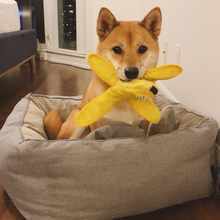 Tuffy - Toughest Banana and Skin