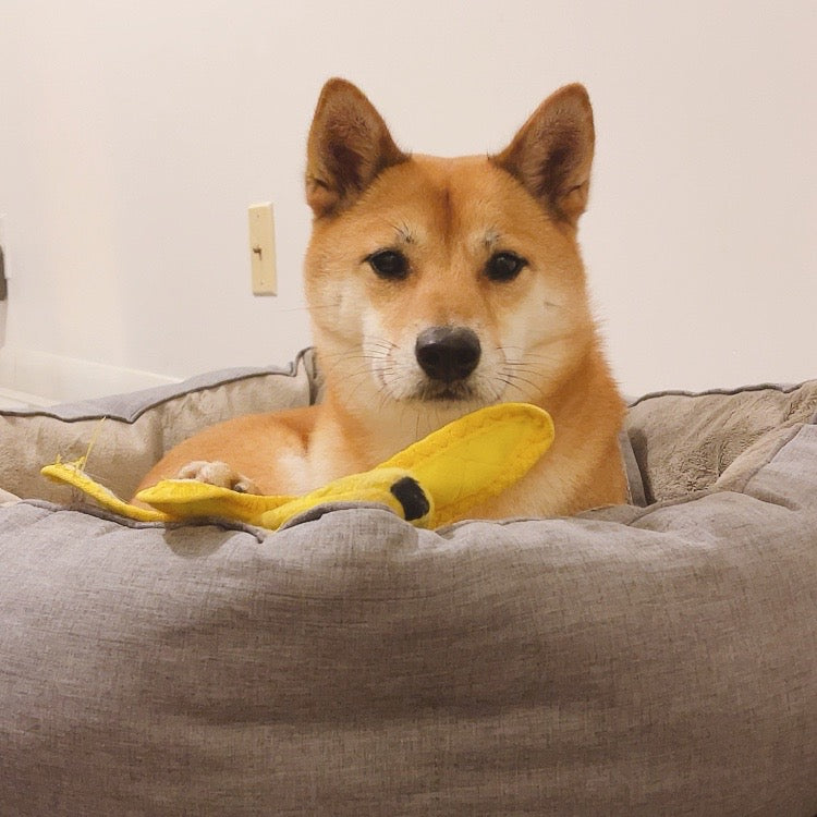 Tuffy - Toughest Banana and Skin