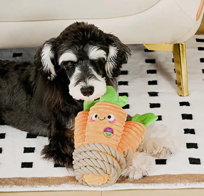 Hugsmart - Pooch Garden Carrot Bunch Dog Toy