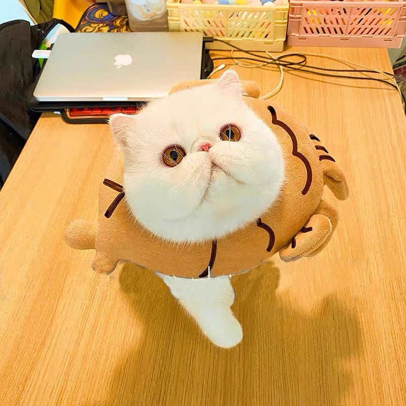 E-collar to Cats & Small dogs