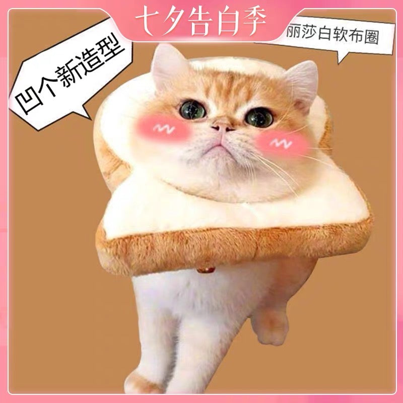 Collier électronique pour chats et petits chiens