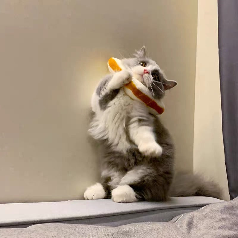 E-collar to Cats & Small dogs