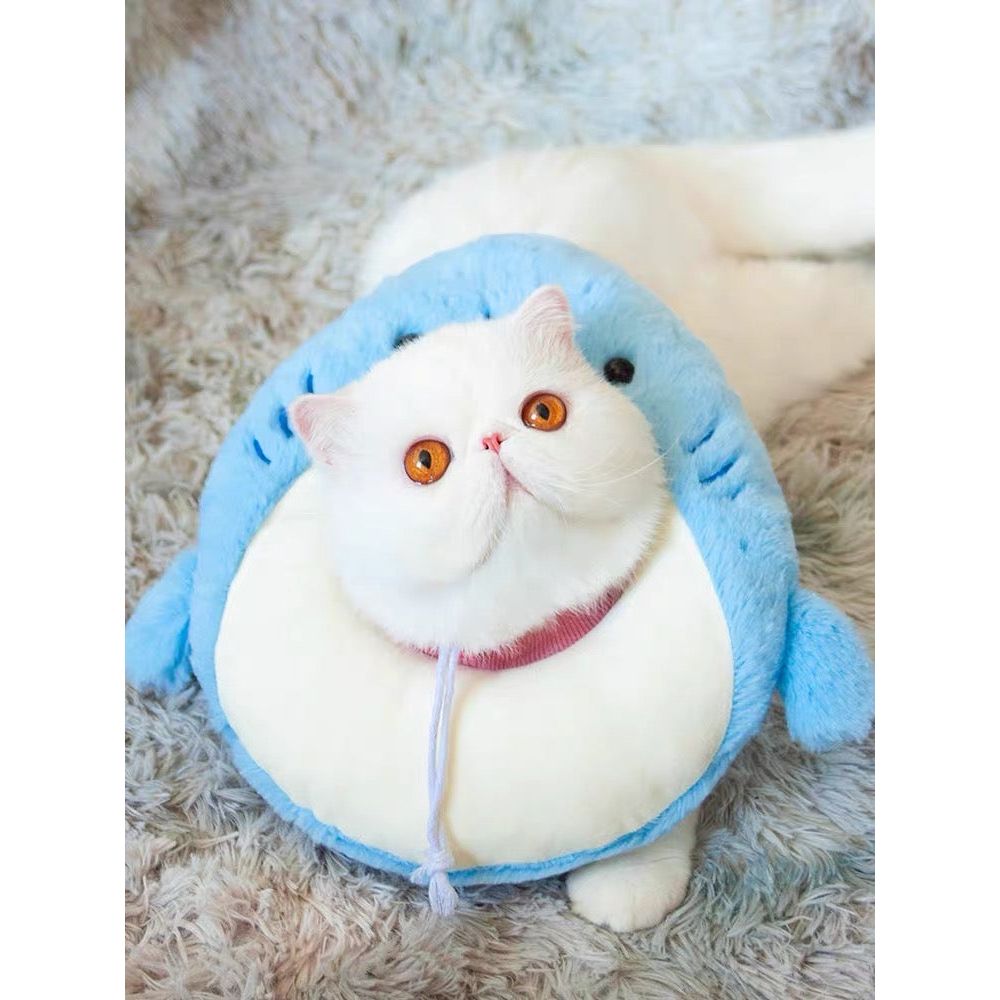 Collier électronique pour chats et petits chiens