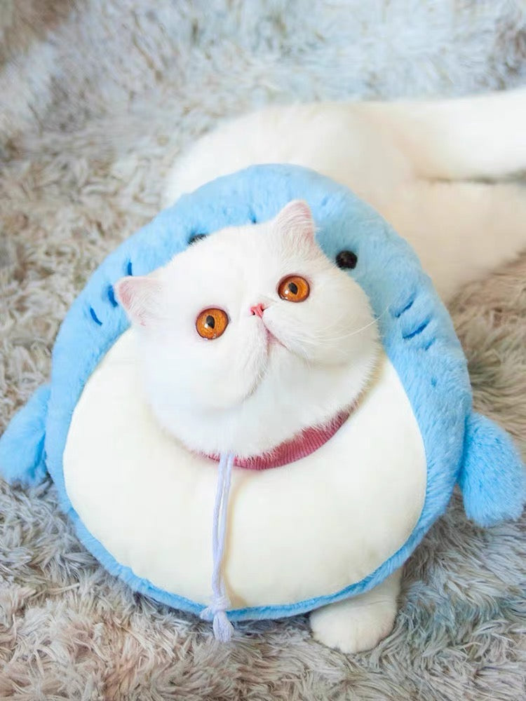 E-collar to Cats & Small dogs
