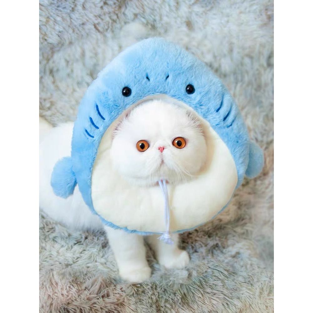 Collier électronique pour chats et petits chiens