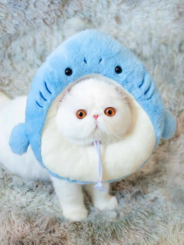 E-collar to Cats & Small dogs