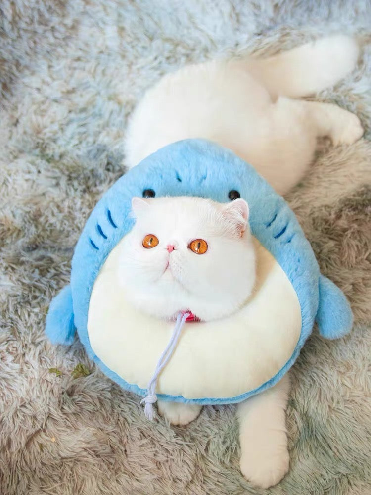 E-collar to Cats & Small dogs