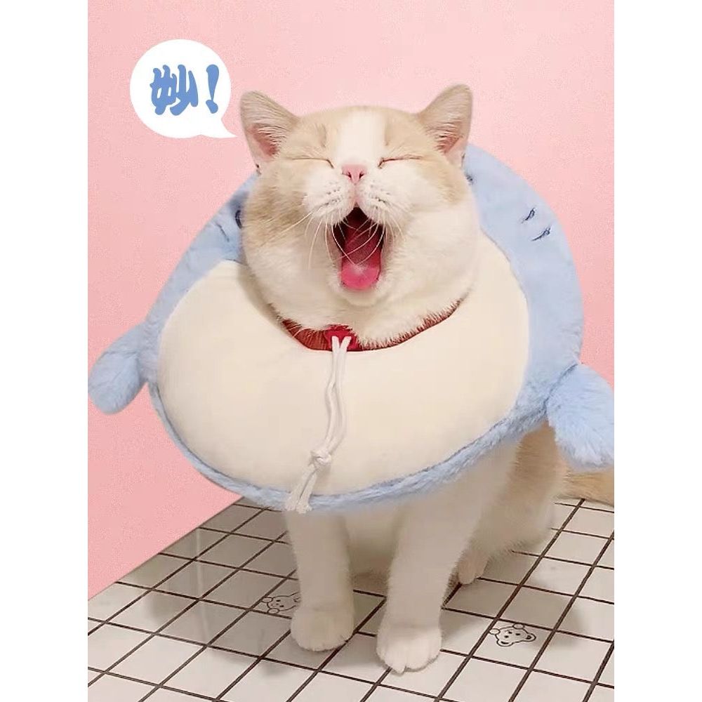 Collier électronique pour chats et petits chiens