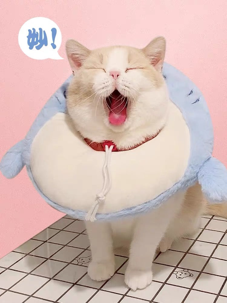 E-collar to Cats & Small dogs