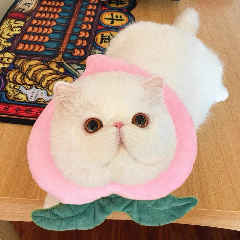 Collier électronique pour chats et petits chiens