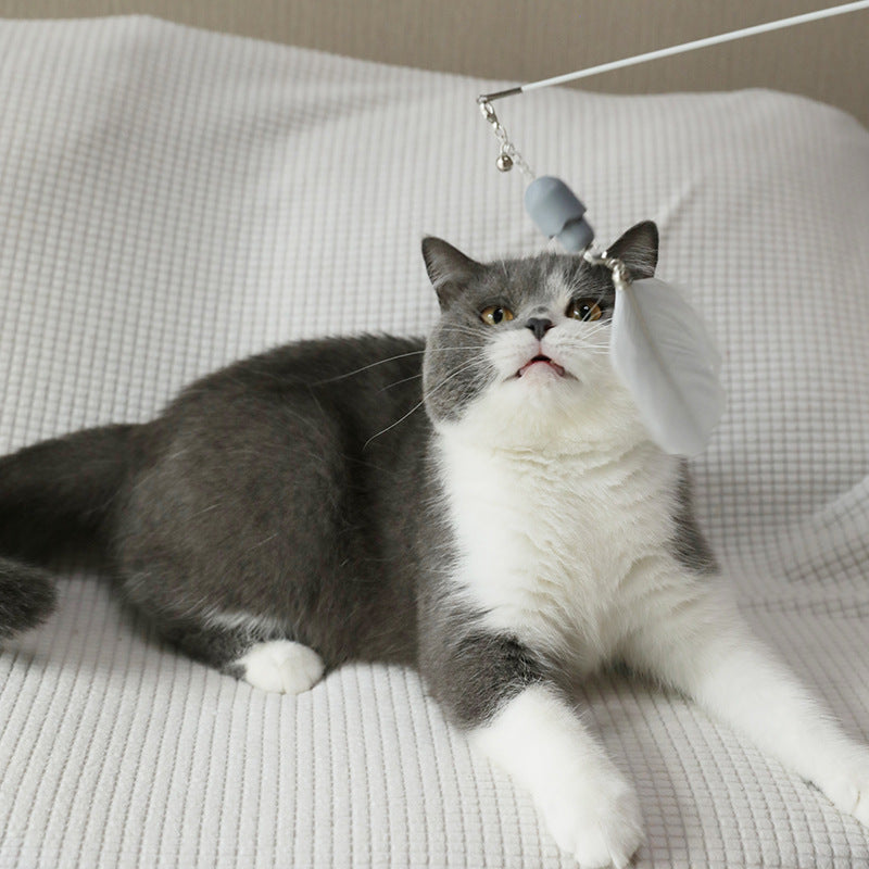 Pakeway - Multifunctional laser cat teaser