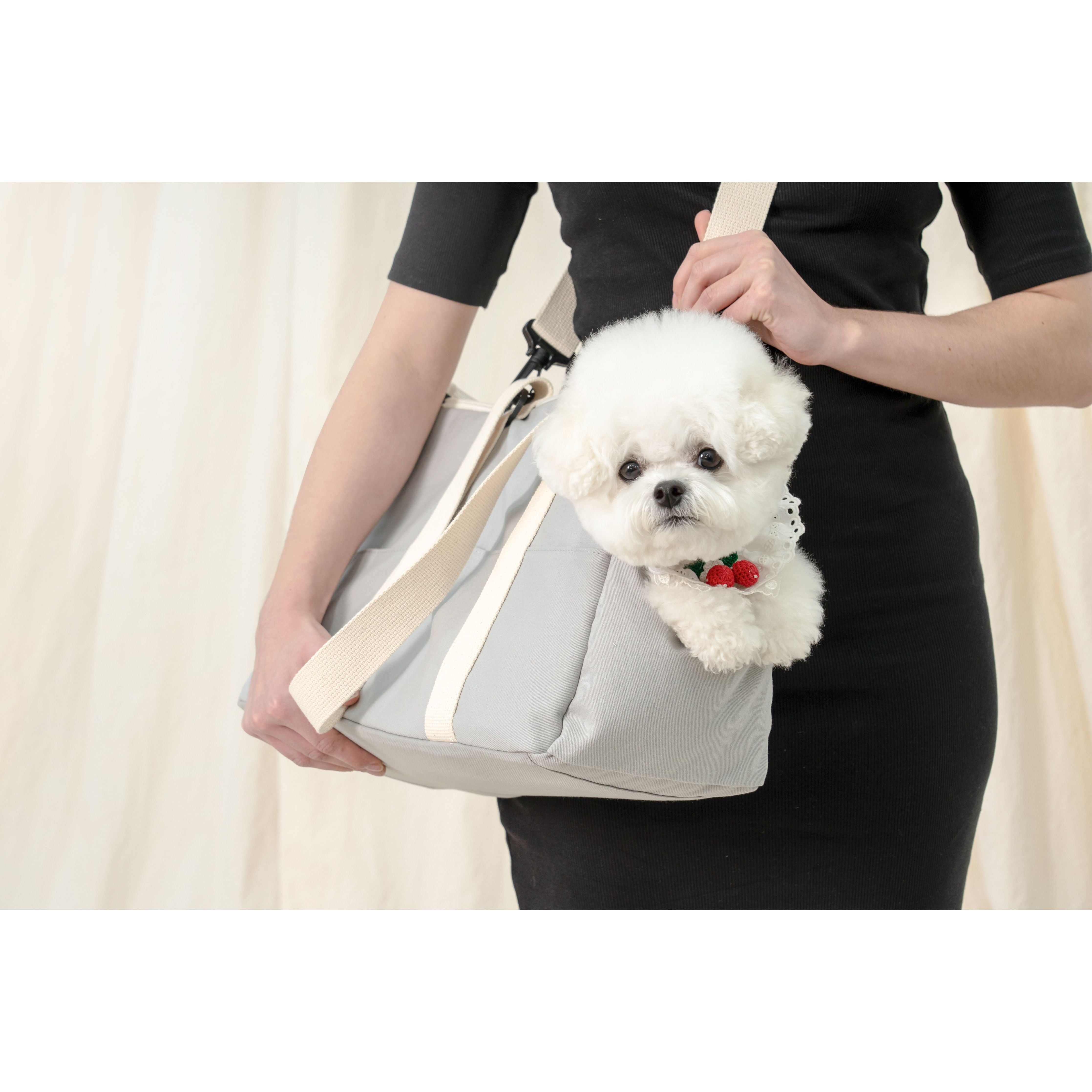 Pupping Pet Carrier