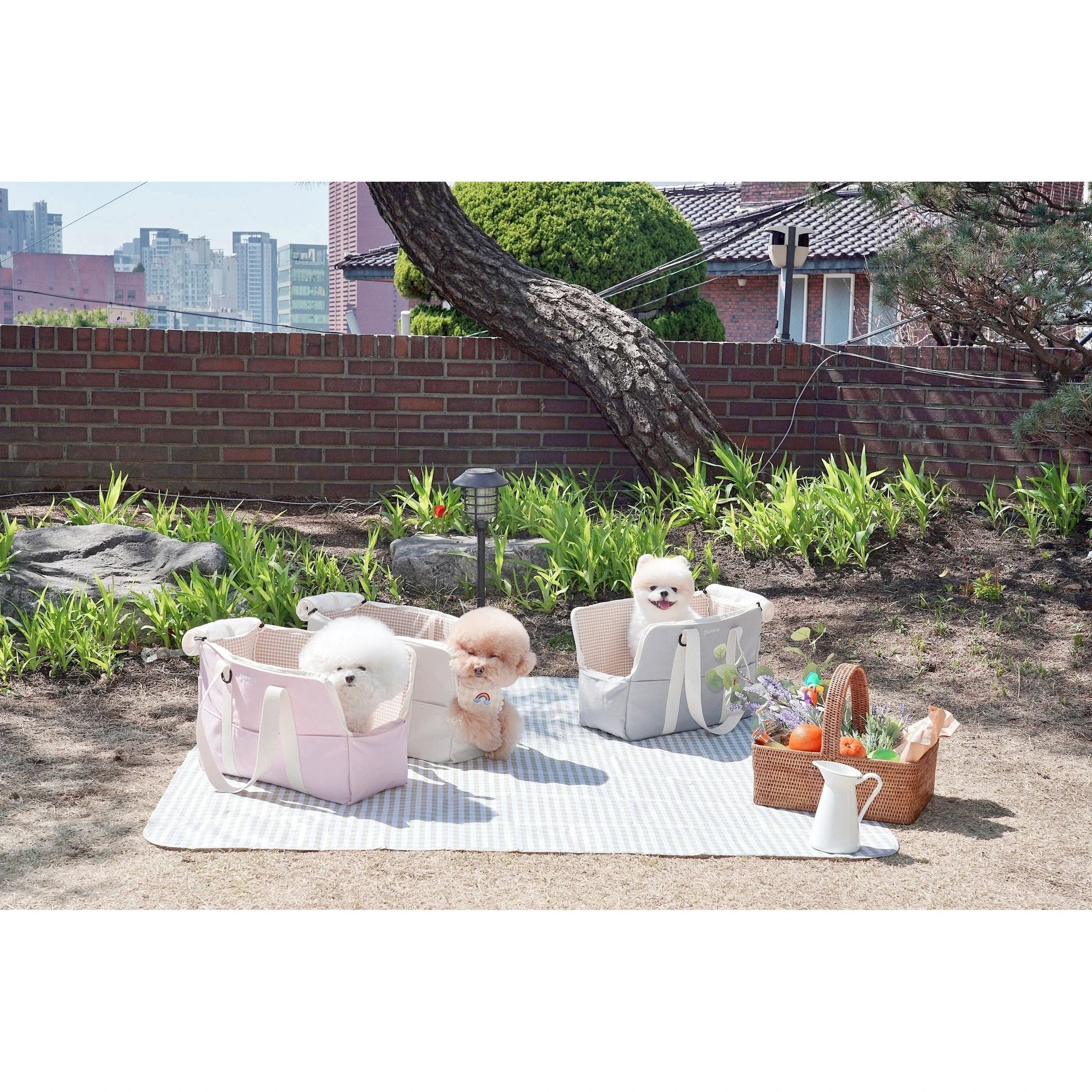 Pupping Pet Carrier by Pupping