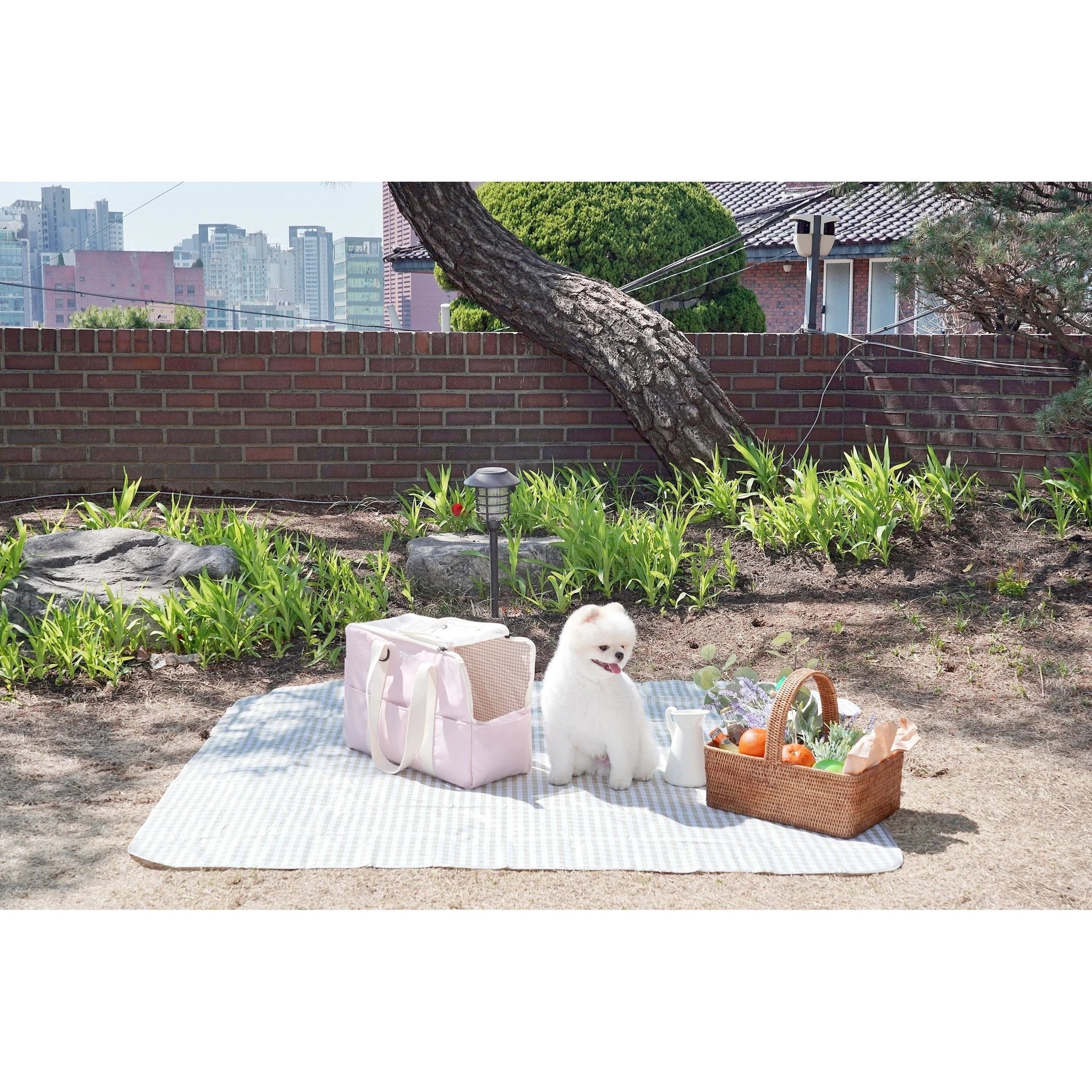 Pupping Pet Carrier by Pupping