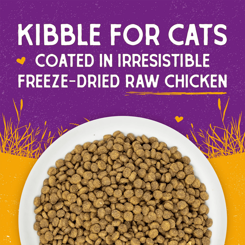 Stella & Chewy - Cage-free Chicken Raw Coated Kibble Dry Food