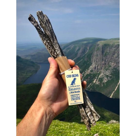 Land & Sea Pets 5 Skin Bundle