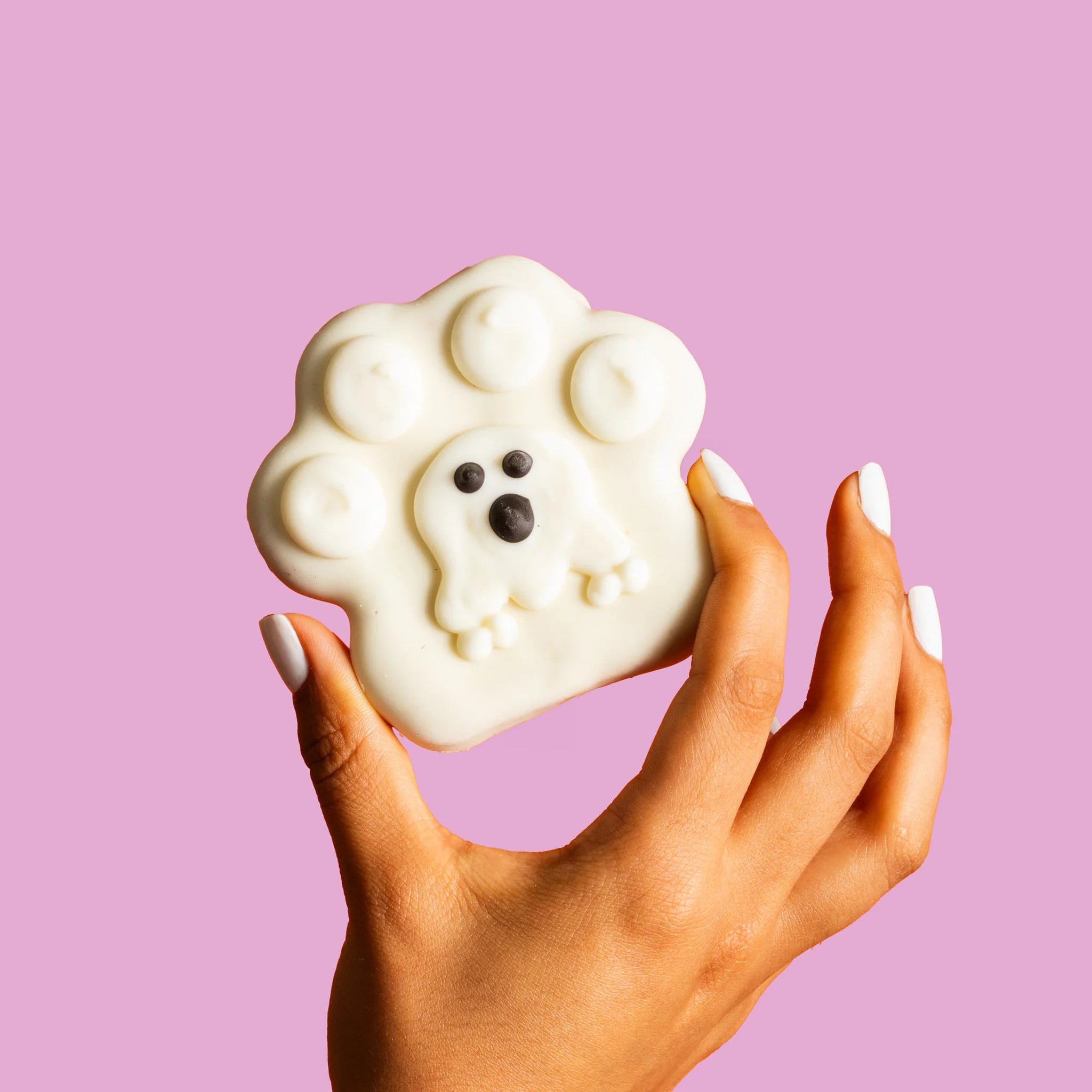 B&amp;R Canard Canard Oie