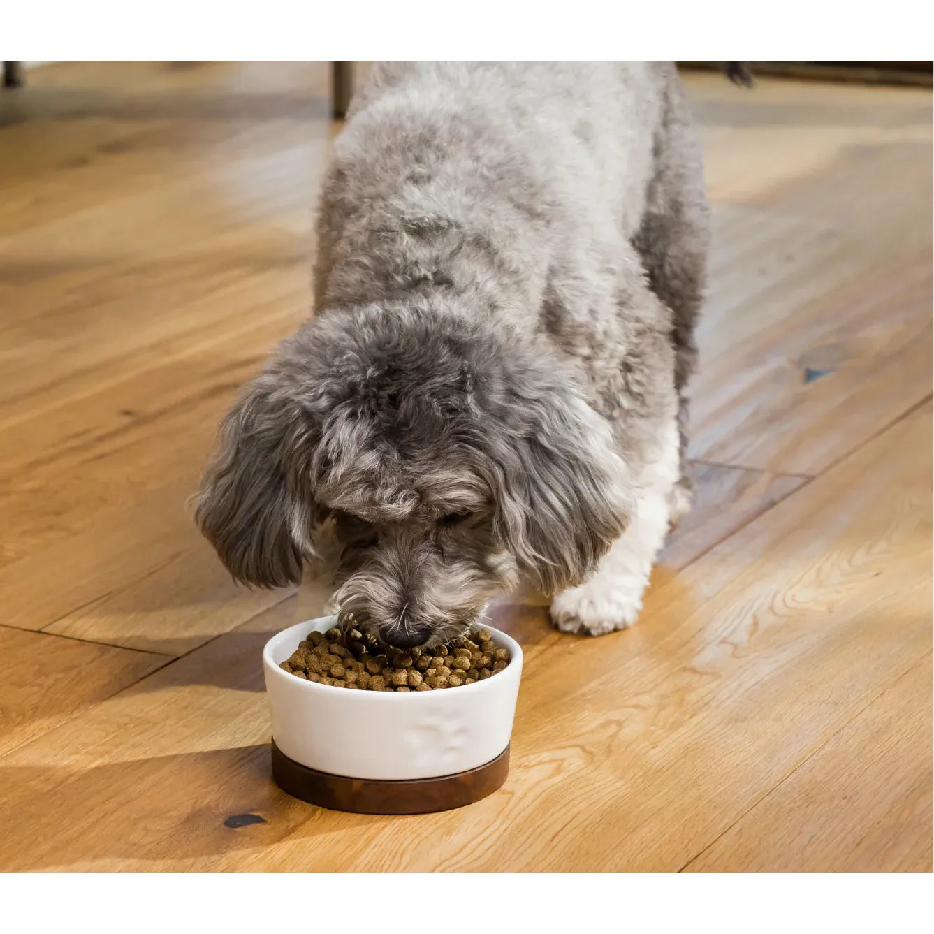 Croquettes pour chiens Open Farm, poisson blanc et céréales anciennes, pêche de la saison