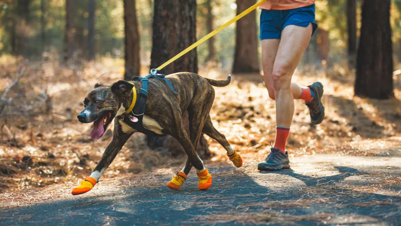 Ruffwear Summit Trex™ Dog Shoes by Ruffwear