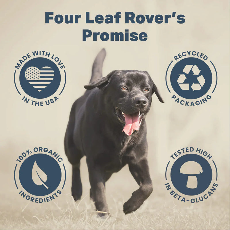 Four Leaf Rover - Seven 'Shrooms