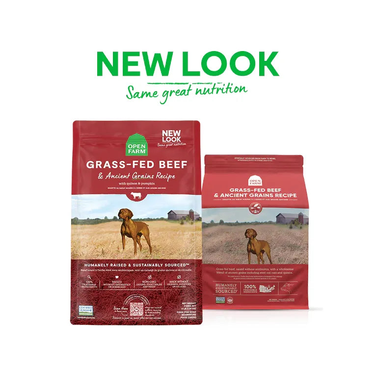 Open Farm Grass-Fed Beef & Ancient Grains Dry Dog Food 22lb