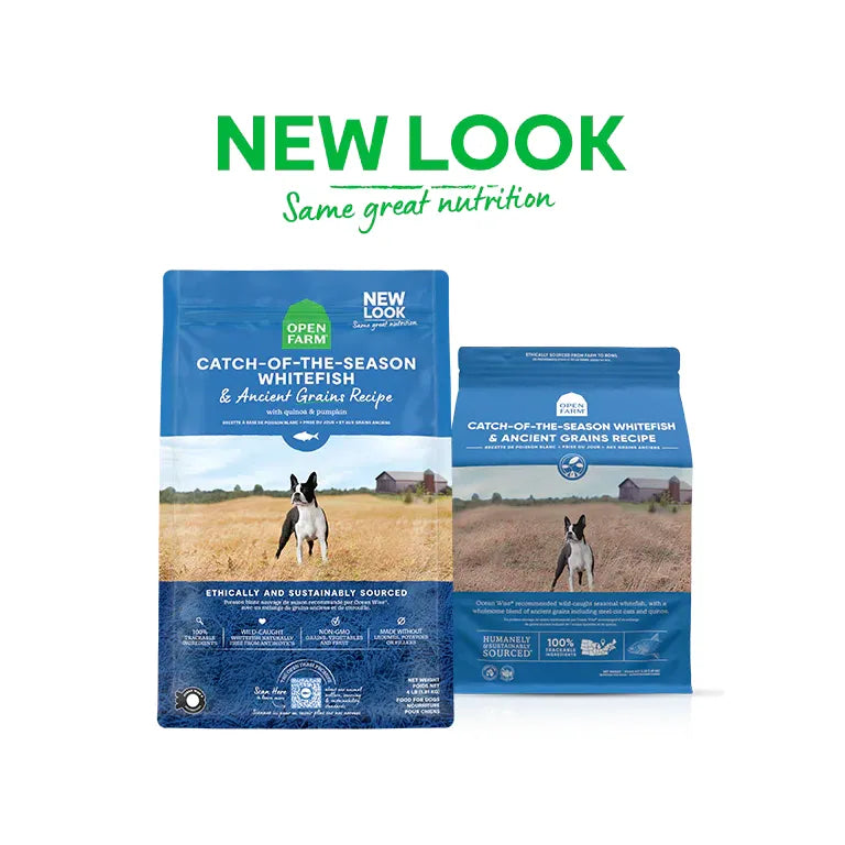 Open Farm Catch-of-the-Season Whitefish & Ancient Grains Dry Dog Food