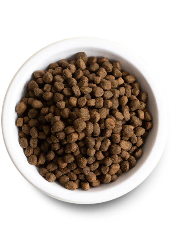Open Farm - Pasture-Raised Lamb & Ancient Grains Dry Dog Food