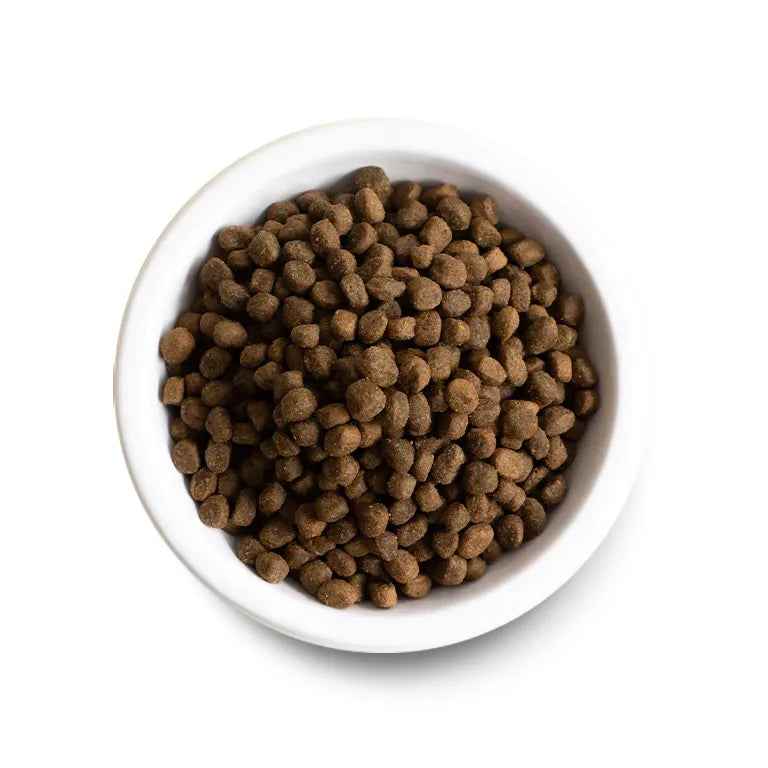 Open Farm Catch-of-the-Season Whitefish & Ancient Grains Dry Dog Food
