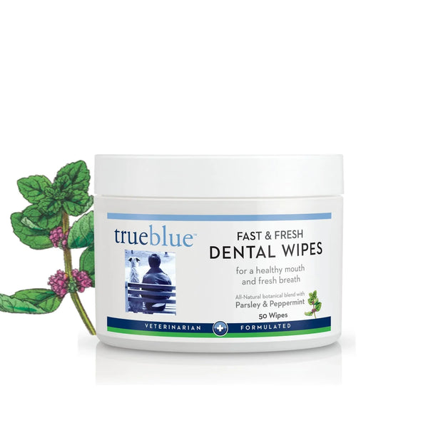 TrueBlue - Fast & Fresh Dental Wipes