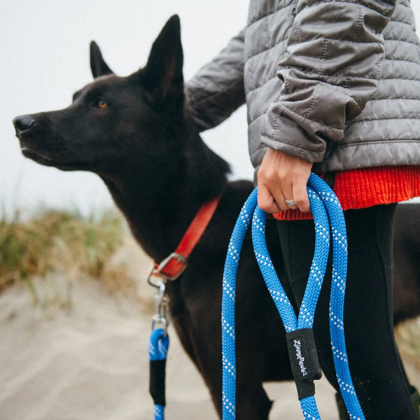 ZippyPaws - Climbers Dog Leash – ORIGINAL – 6 Feet