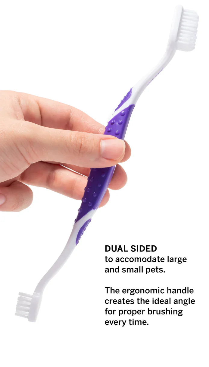 Petsmile - Professional Pet Toothbrush - Patented 45° Dual-Ended Brush Head