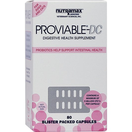 Proviable-DC Probiotic Capsule