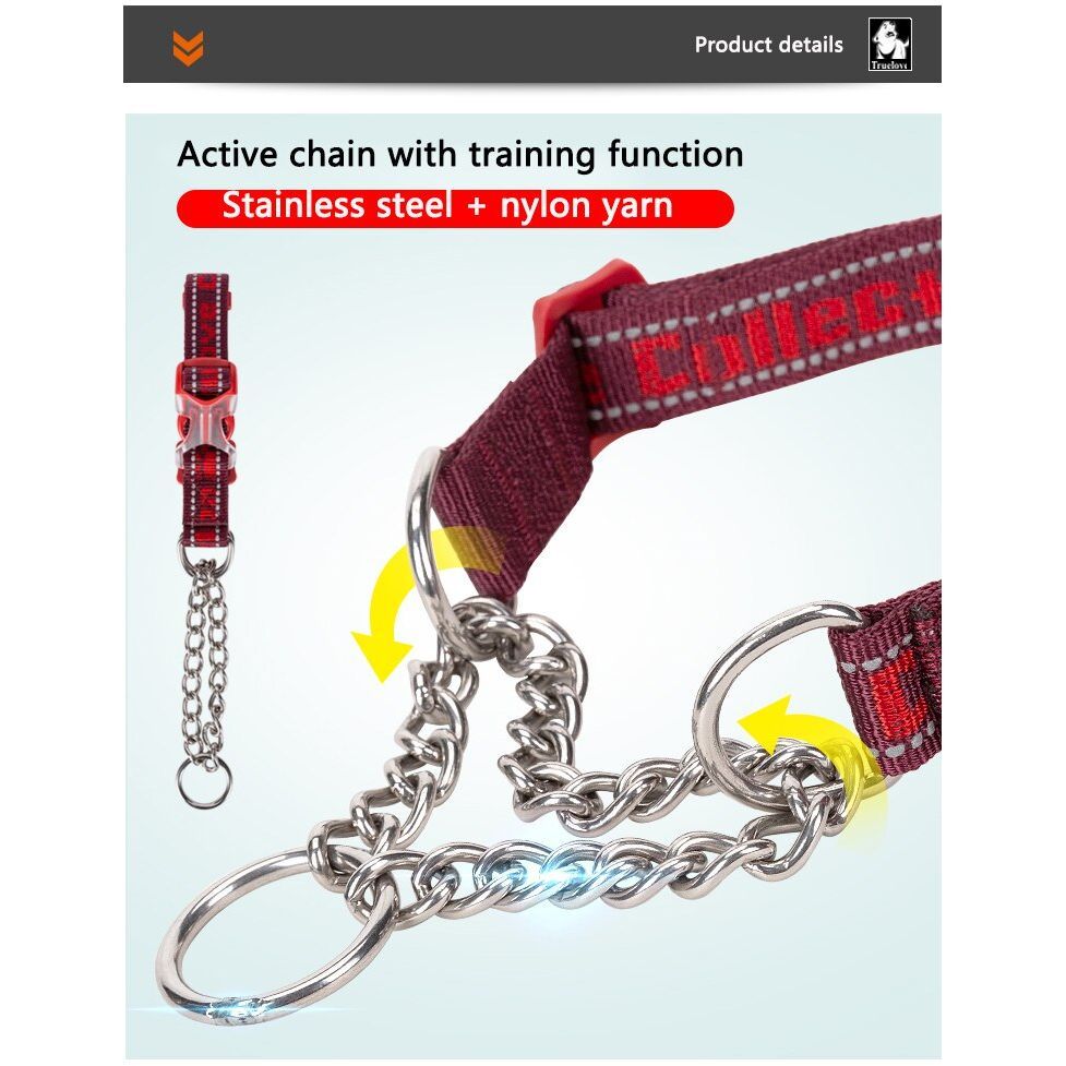 Truelove P-chain Stainless Steel Reflective Collar