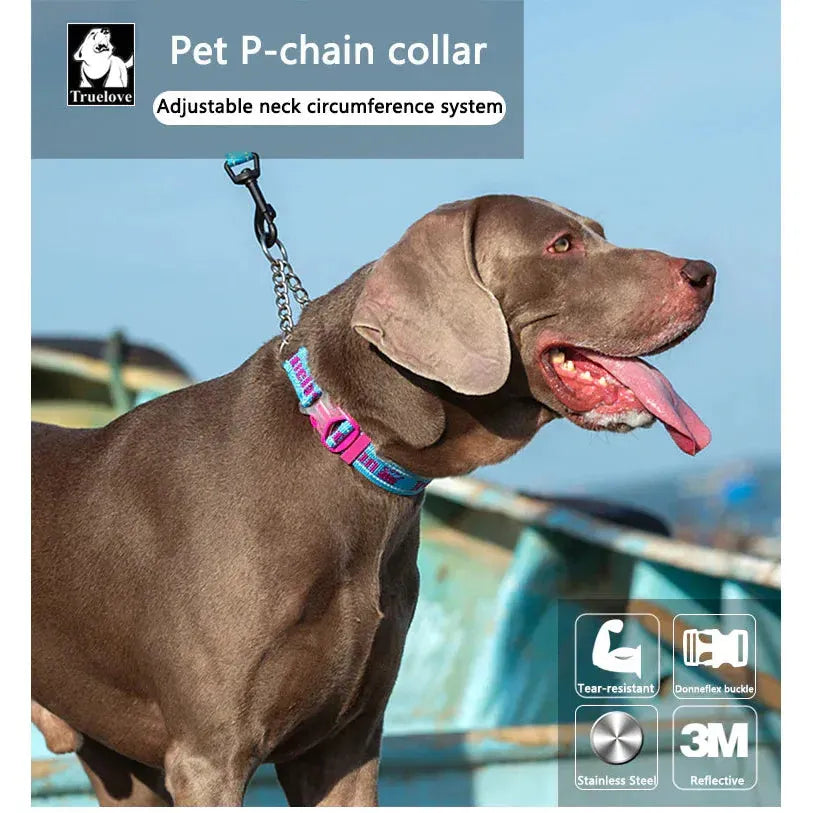 Truelove P-chain Stainless Steel Reflective Collar