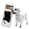 PawZ Rubber Dog Boots, 12 Boots (1 pack)