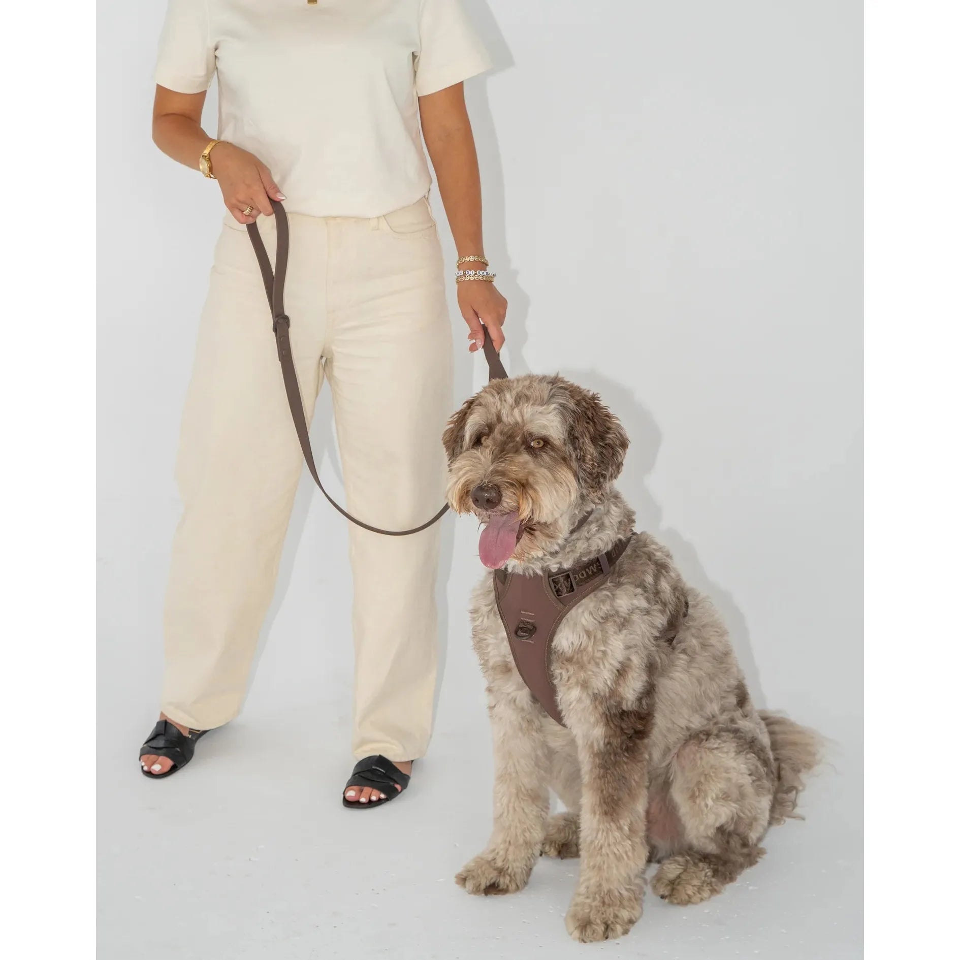 Dexypaws No-Pull Dog Harness, Espresso Medium Dog