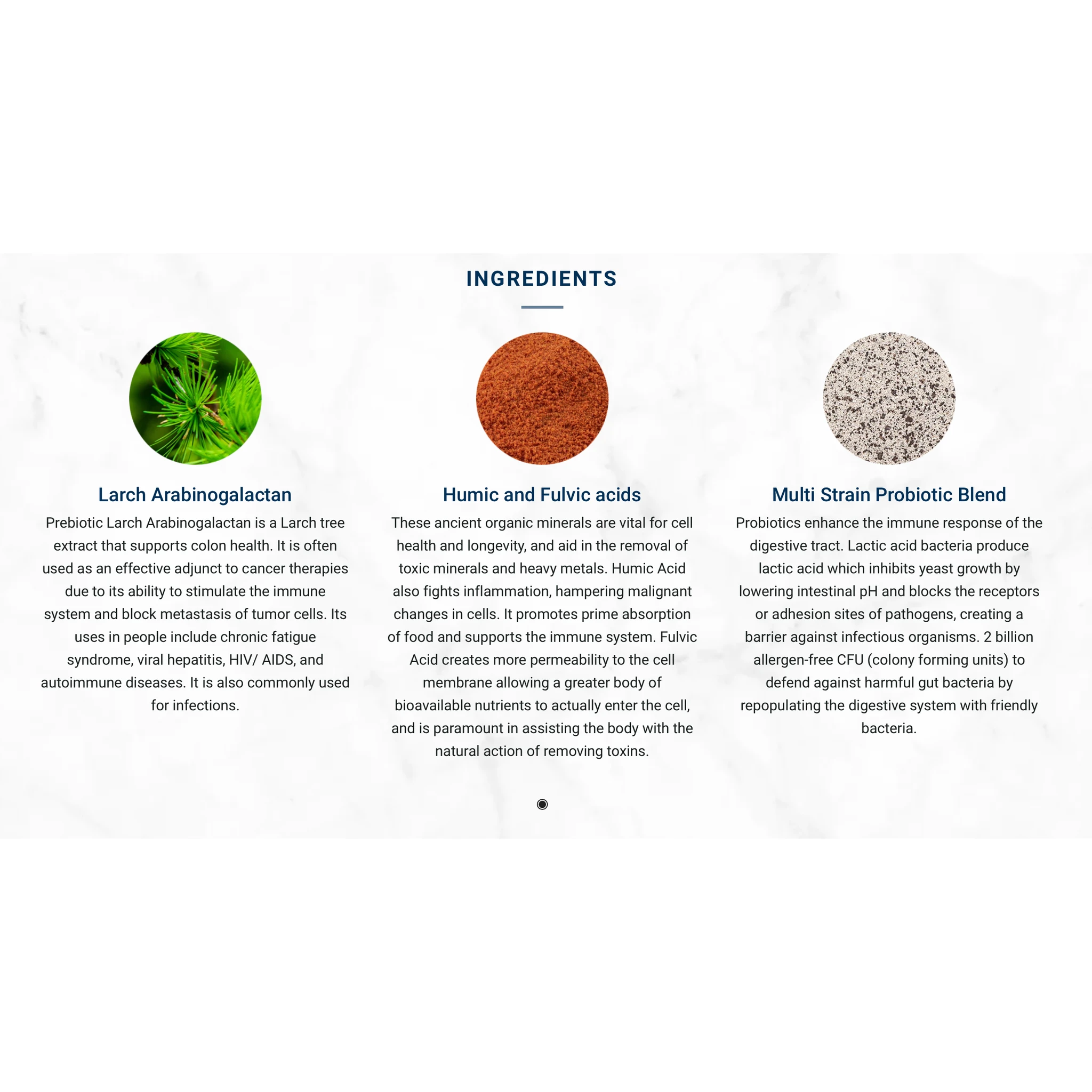 Adored Beast - Fido's Flora | Canine Species Specific Probiotic by Adored Beast