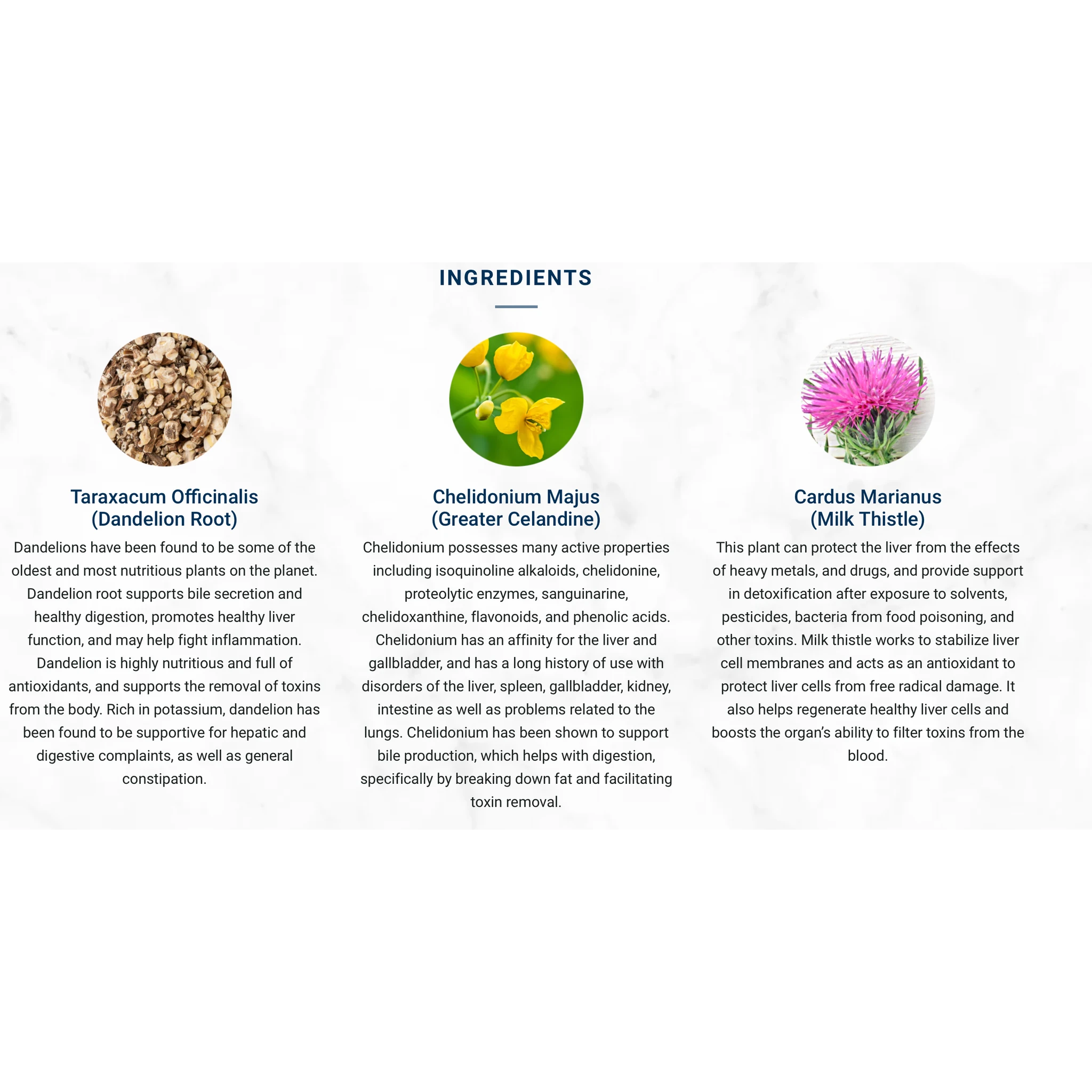 Adored Beast - Liver Tonic | Support & Detoxifier by Adored Beast