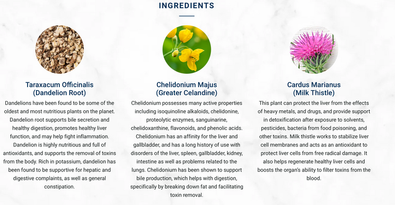 Liver Tonic | Support & Detoxifier