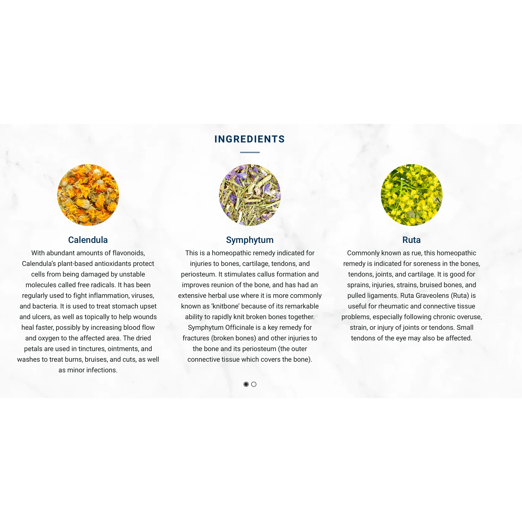 Adored Beast -Jump for JOYnts | Joint Support by Adored Beast