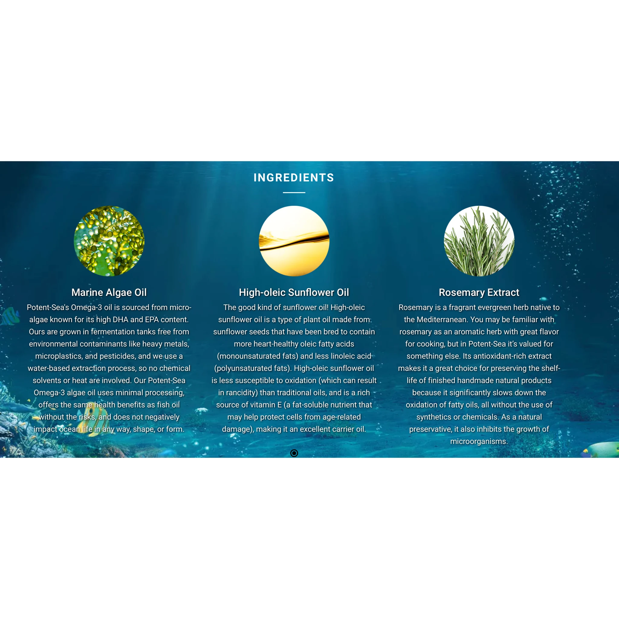 Adored Beast - Potent-Sea Omega-3 | EPA & DHA by Adored Beast